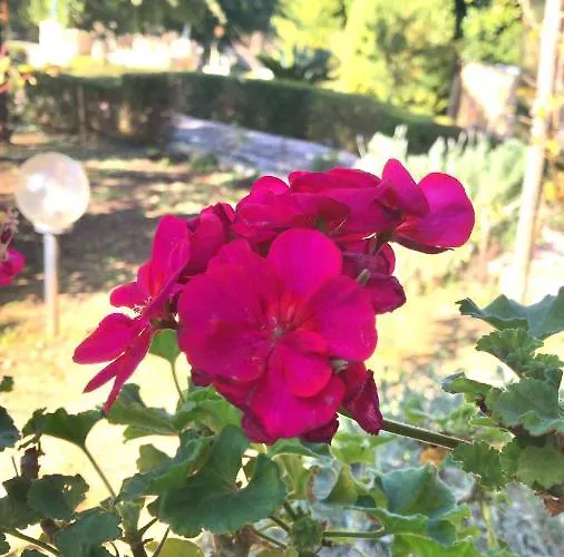 Casa de Férias Ioanna *