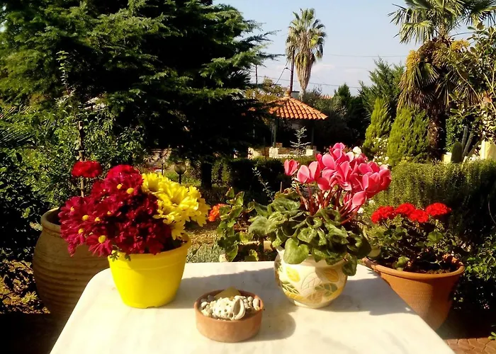 Ioanna Casa de Férias *